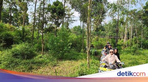 Wahana Taman Safari Prigen Semakin Lengkap Kini Miliki Atv