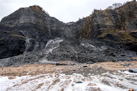 Why The Jurassic Coast Is One Of The Best Fossil Collecting Sites On