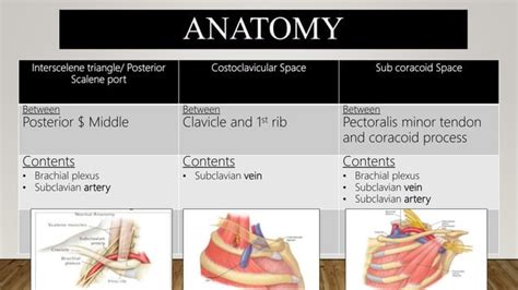 Thoracic Outlet Syndrome TOS PPT