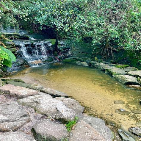 bronte waterall gully