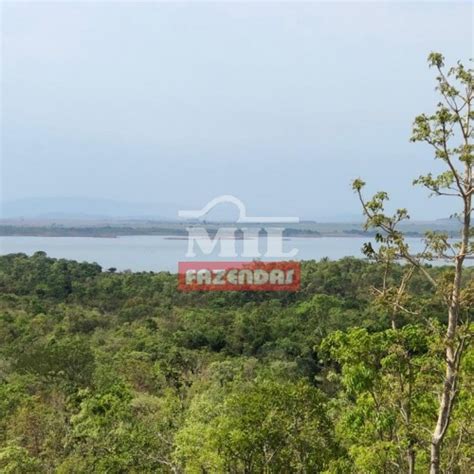 Mil Fazendas Fazenda Em Campinorte Go Margem Lago Serra Da Mesa