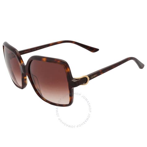 Cartier Brown Gradient Square Ladies Sunglasses Ct0219s 002 58 843023144326 Sunglasses Jomashop