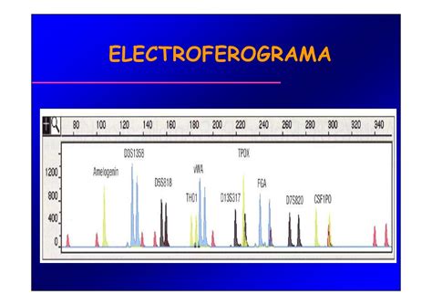 Pcr Y Electroforesis Biociencias 2010 Pdf