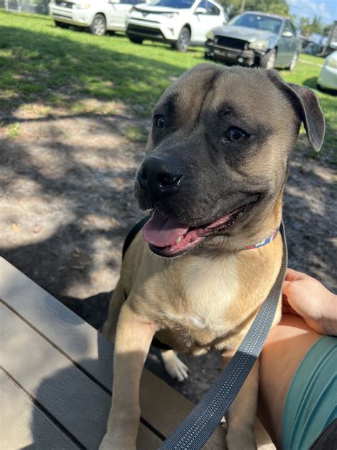 Legal experts explain how to search polk county fl court records 18