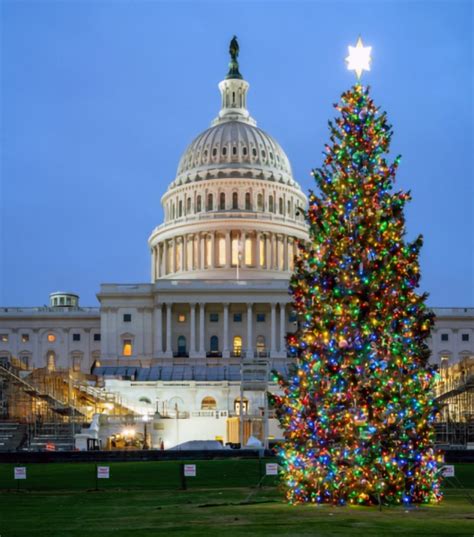 Six Rivers Selected To Provide 2021 Us Capitol Christmas Tree