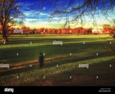 Peckham Rye Park London Stock Photo Alamy