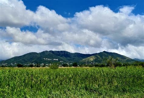 119 Trinidad Mountain Range Stock Photos Free And Royalty Free Stock