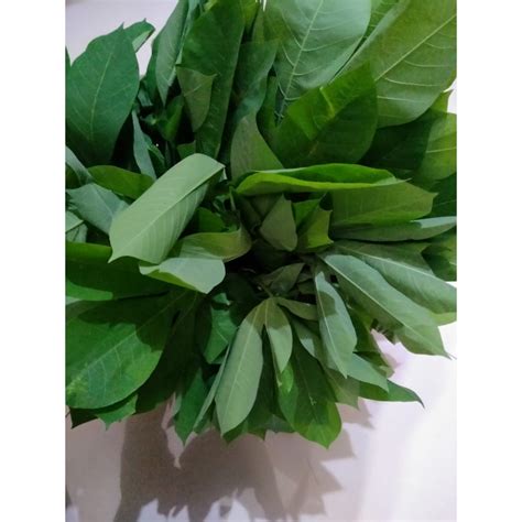 Jual Daun Singkong Per Ikat Sayuran Segar Shopee Indonesia