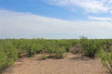 380 acres in Pecos County, Texas