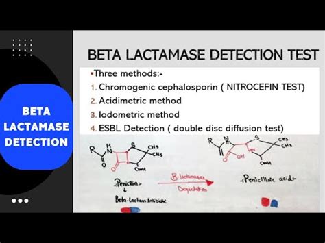 Beta Lactamase Detection YouTube