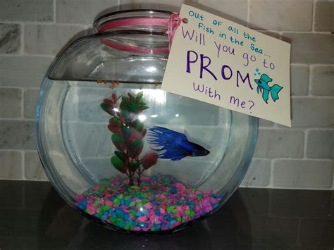 Prom Proposal • Out Of All Of The Fish In The Sea Will You Go To Prom