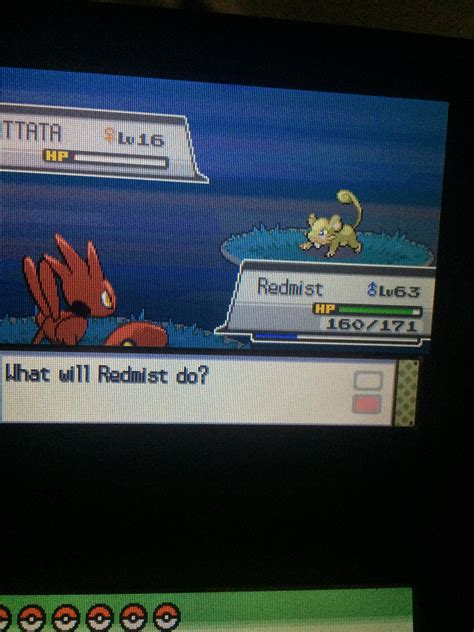 [gen4] My first random encounter shiny in heart gold : r/ShinyPokemon