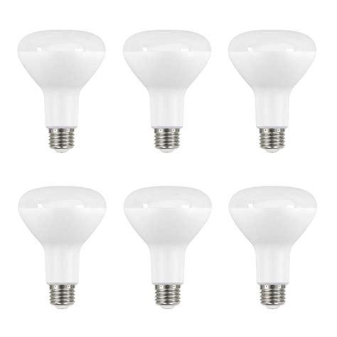 Snapklik Ecosmart W Equivalent Day Light Br Dimmable Led