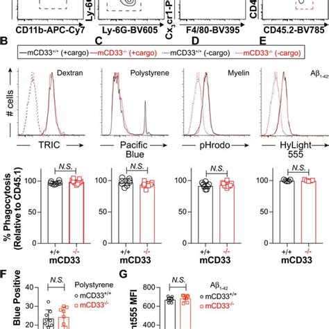 A Competitive Phagocytic Assay To Examine Cargo Uptake In Wt And