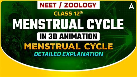 Menstrual Cycle Class 12 In 3d Animation Menstrual Cycle Detailed Explanation By Sankalp