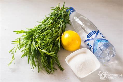 Тархун. Лимонад в домашних условиях - пошаговый рецепт с фото на ...