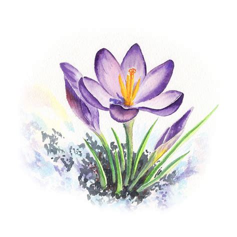 Crocus Flower http://irina-sztukowski.pixels.com/featured/crocus-flower ...