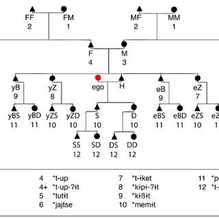 Reconstructed Terms For Consanguineal Kin Relations Of A Female Ego