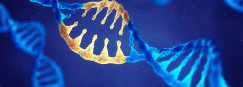 Creative Biolabs Gene Therapy Blog