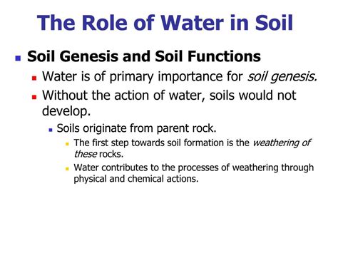 PPT Why Study Soil Plant Water Relations PowerPoint Presentation