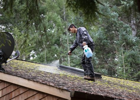 Fabriquer De L Anti Mousse Pour Un Toit Un Mur Ou Une Terrasse