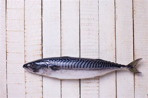 Raw Sardine Fish Stock Image Image Of Ingredient Flavor 49858209