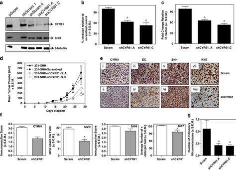 Abrogating Cyr61 Expression In Shh Expressing Cells Mitigates The