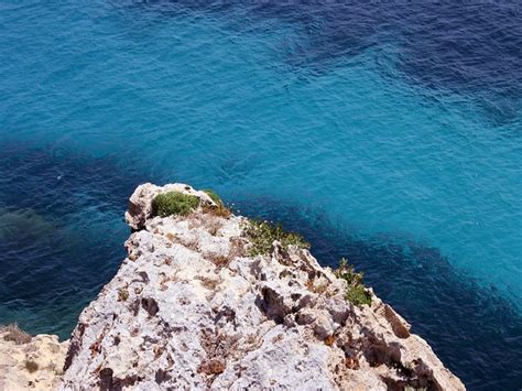 Favignana Isola Di Favignana Egadi Sicilia Cala Azzurra