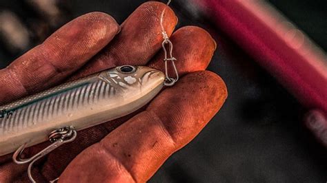 4 Topwater Lures For Fall Bass Fishing Wired2fish