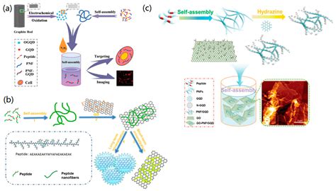 Nanomaterials Free Full Text Controlling The Self Assembly Of Biomolecules Into Functional