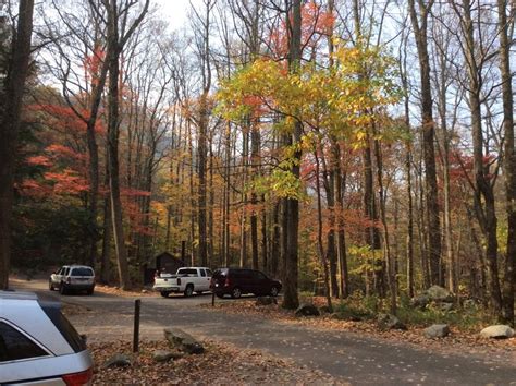 Smoky Mountain Color at Chimney Tops Picnic area~ November 2016 | Picnic area, Smoky mountains ...