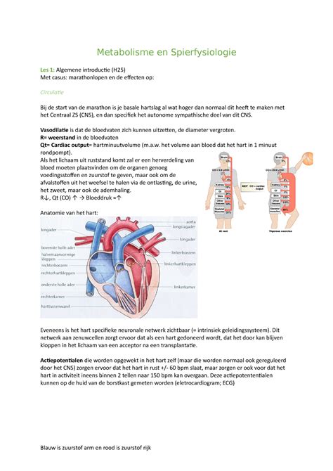 Samenvatting Fysmes Les Metabolisme En Spierfysiologie Les