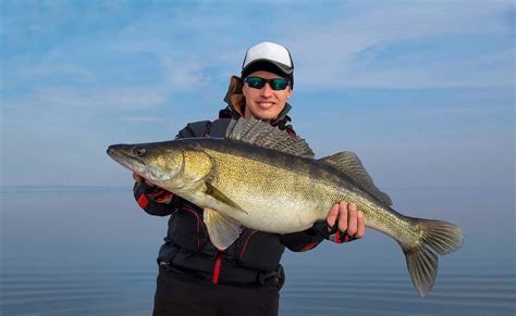 What Color is Most Visible to a Walleye Fish? | Fishing Looker