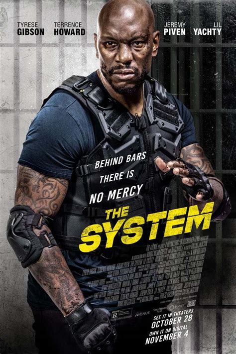 The System DVD Release Date January 3 2023