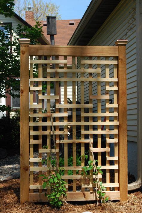 140 Privacy Trellis Ideas Backyard Backyard Landscaping Privacy Trellis