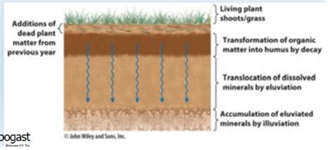 22 Soil Classification Flashcards Quizlet