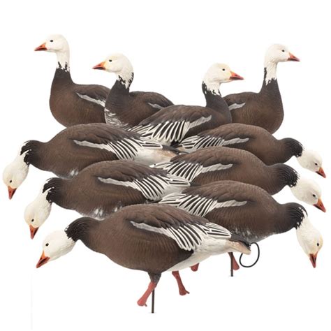 Prairiewind Decoys FREE SHIPPING Snow Goose Decoys Combo 10 Pack