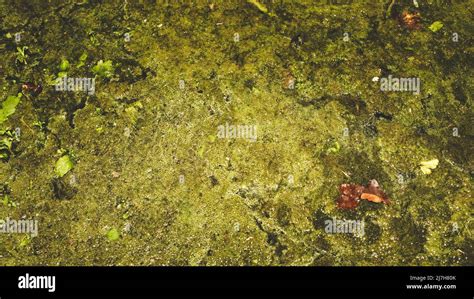 Sludge In The Water Stock Photo Alamy