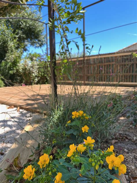 Structuration Et Cr Ation D Un Jardin Ecoverde Paysages