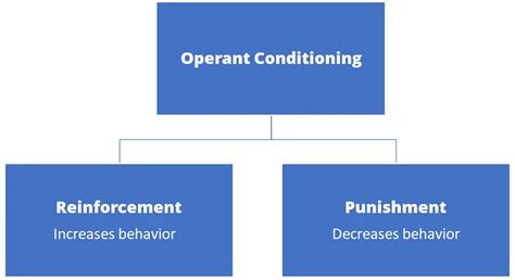 B.F. Skinner’s Theory of Operant Conditioning