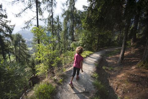 Sentiero Naturalistico Nittweg Sentieri Tematici Nel Parco Nazionale