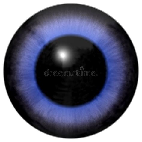 Blue Eye 3d Texture With Black Fringe Stock Illustration Illustration