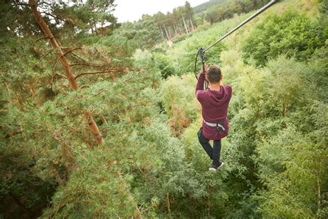 Go Ape Our Adventures Learn About Our Treetop Adventures