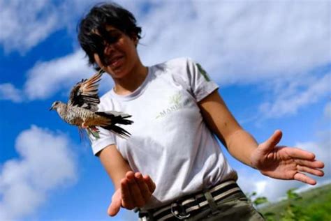 Fpi Do S O Francisco Realiza Ltima Soltura De Animais Silvestres Em