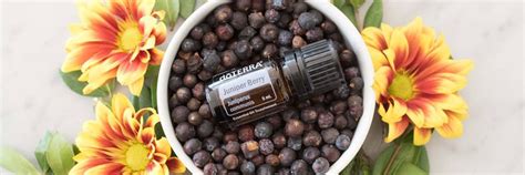 Doterra Juniper Berry Essential Oil