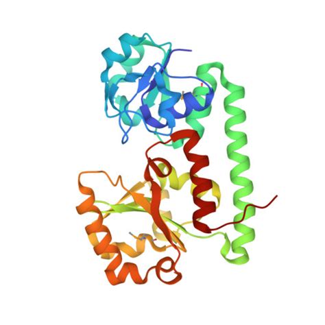 RCSB PDB 3MWG Crystal Structure Of Staphylococcus Aureus SirA