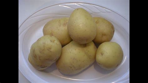 yukon gold potatoes    nutrition youtube