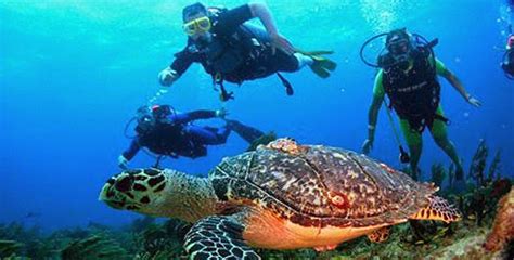 Parque Nacional De Arrecifes De Cozumel Quintana Roo