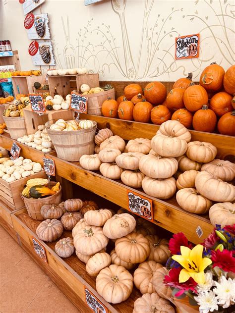 Trader Joes Fall 2022 Trader Joes Fall Items 2022 In 2022 Pumpkin