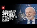 Lula N O Deveria Se Candidatar Em Para Haddad O Substituto